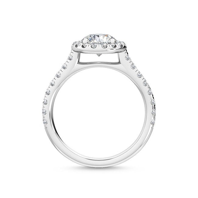 SJR55514RD_White Gold_2