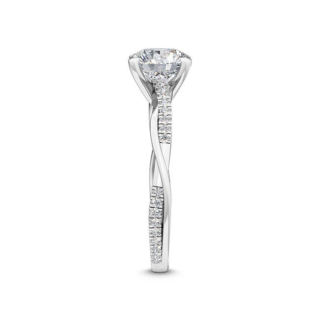 SJR55546RD_White Gold_3